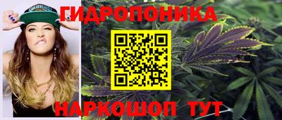 МДПВ Краснознаменск