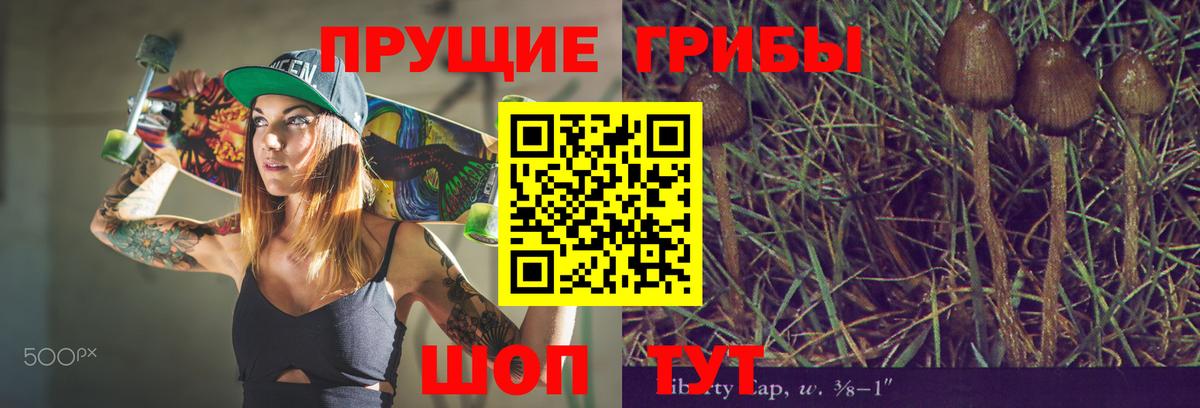 Псилоцибиновые грибы прущие грибы Котлас